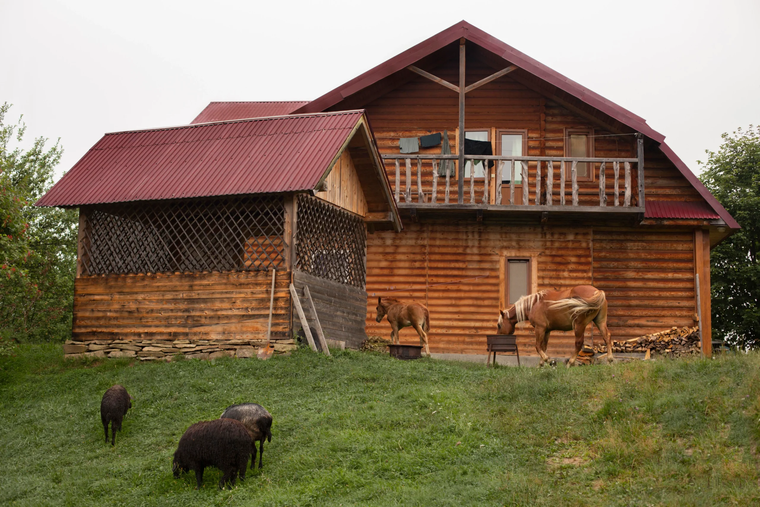 Vastu for farmhouse - farmhouse with sheep and horse